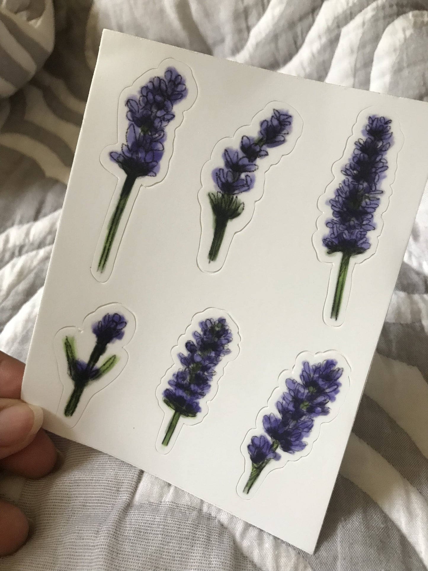 Lavender Set