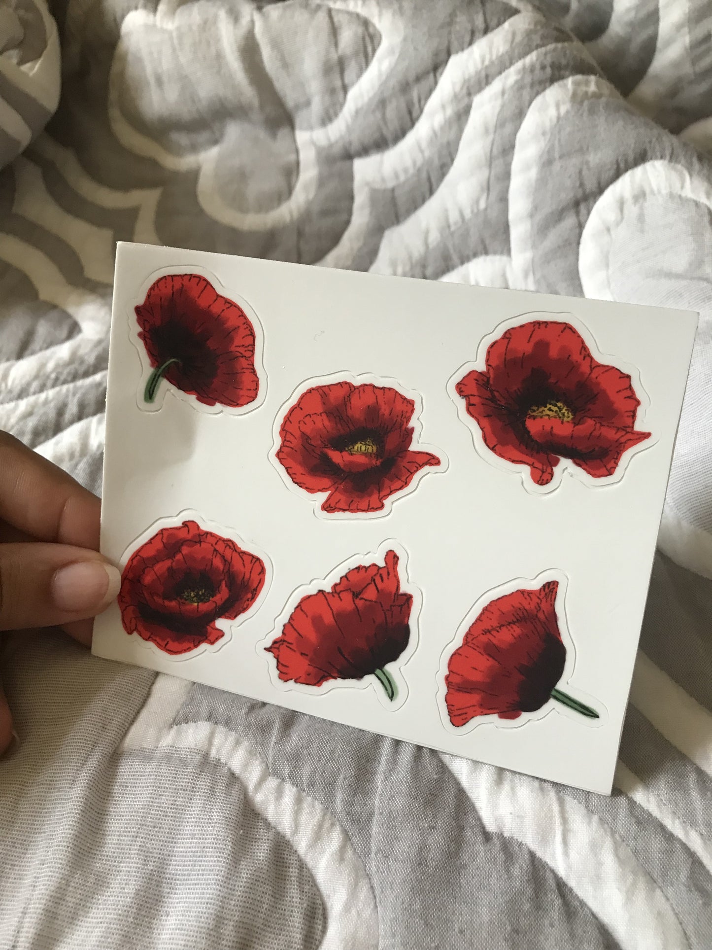 Poppy Set old
